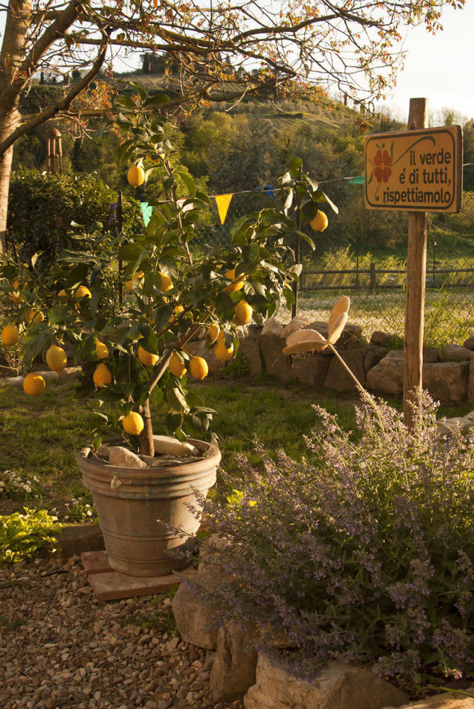 B&B Eridu Fiesole Zewnętrze zdjęcie
